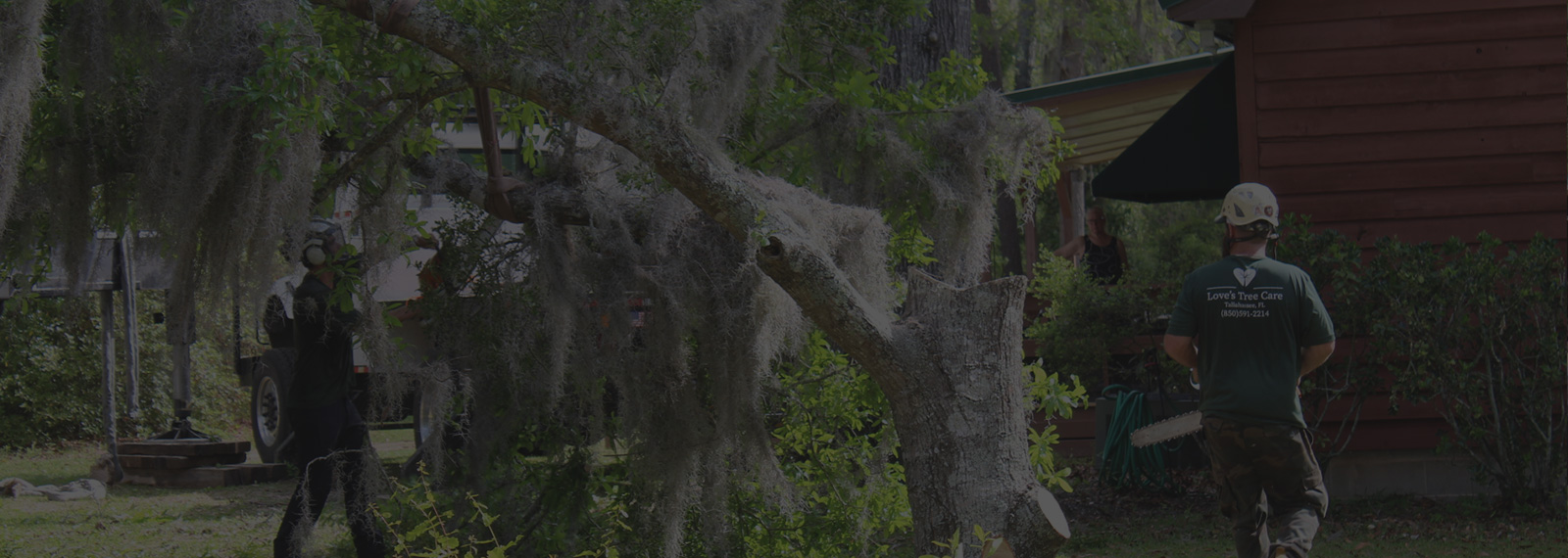 emergency tree removal