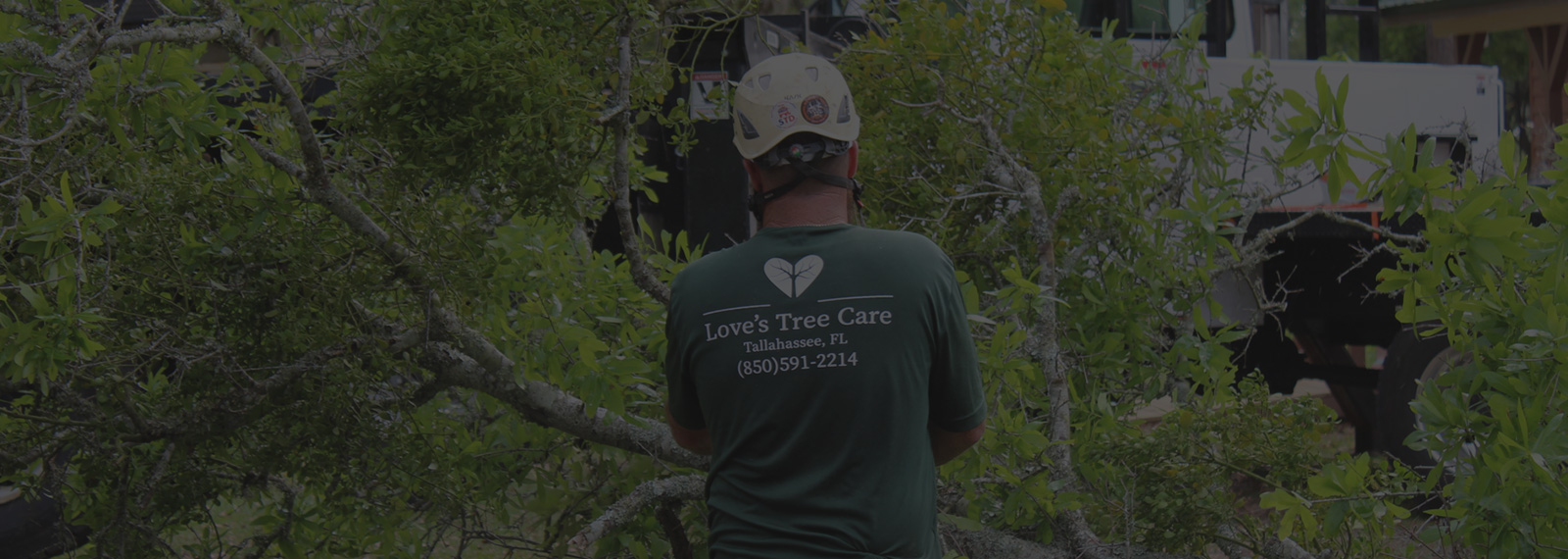 cutting downed tree