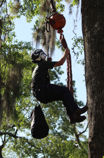 climbing
