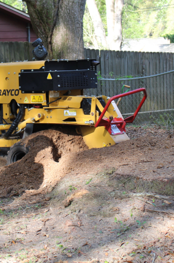 stump grinding
