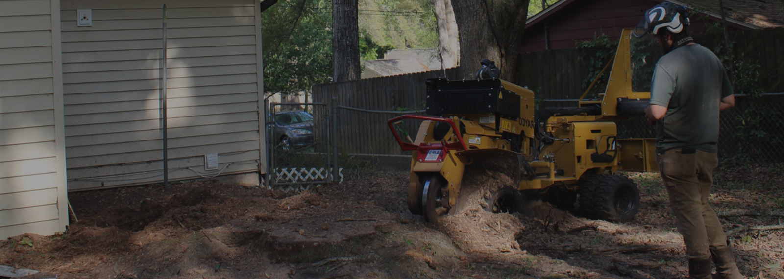 stump grinding